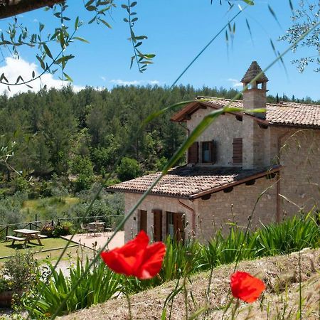 Agriturismo Molino Verde Montecchio  Esterno foto