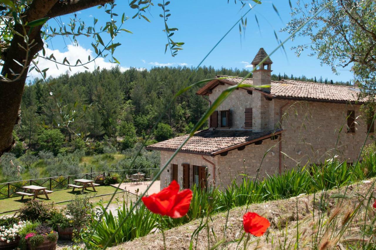 Agriturismo Molino Verde Montecchio  Esterno foto