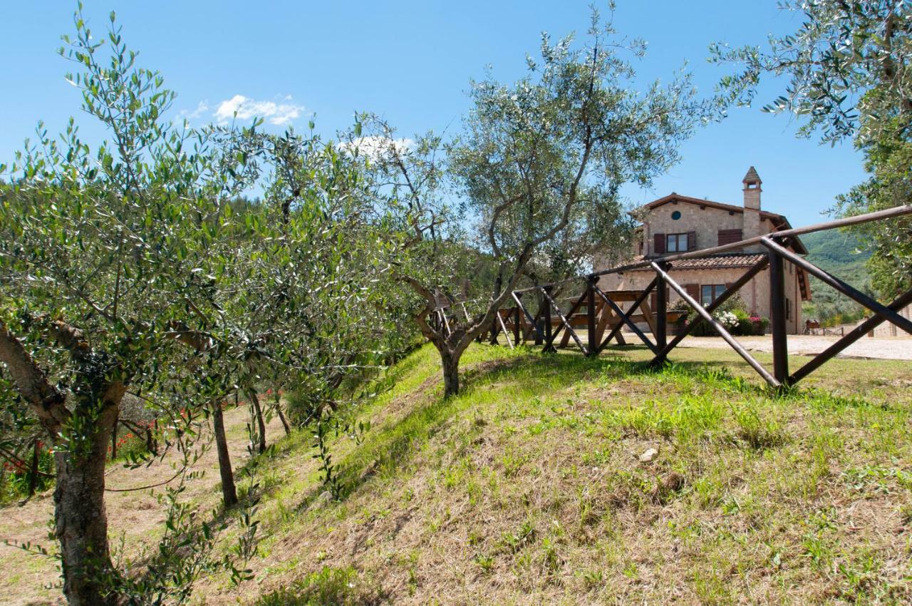 Agriturismo Molino Verde Montecchio  Esterno foto