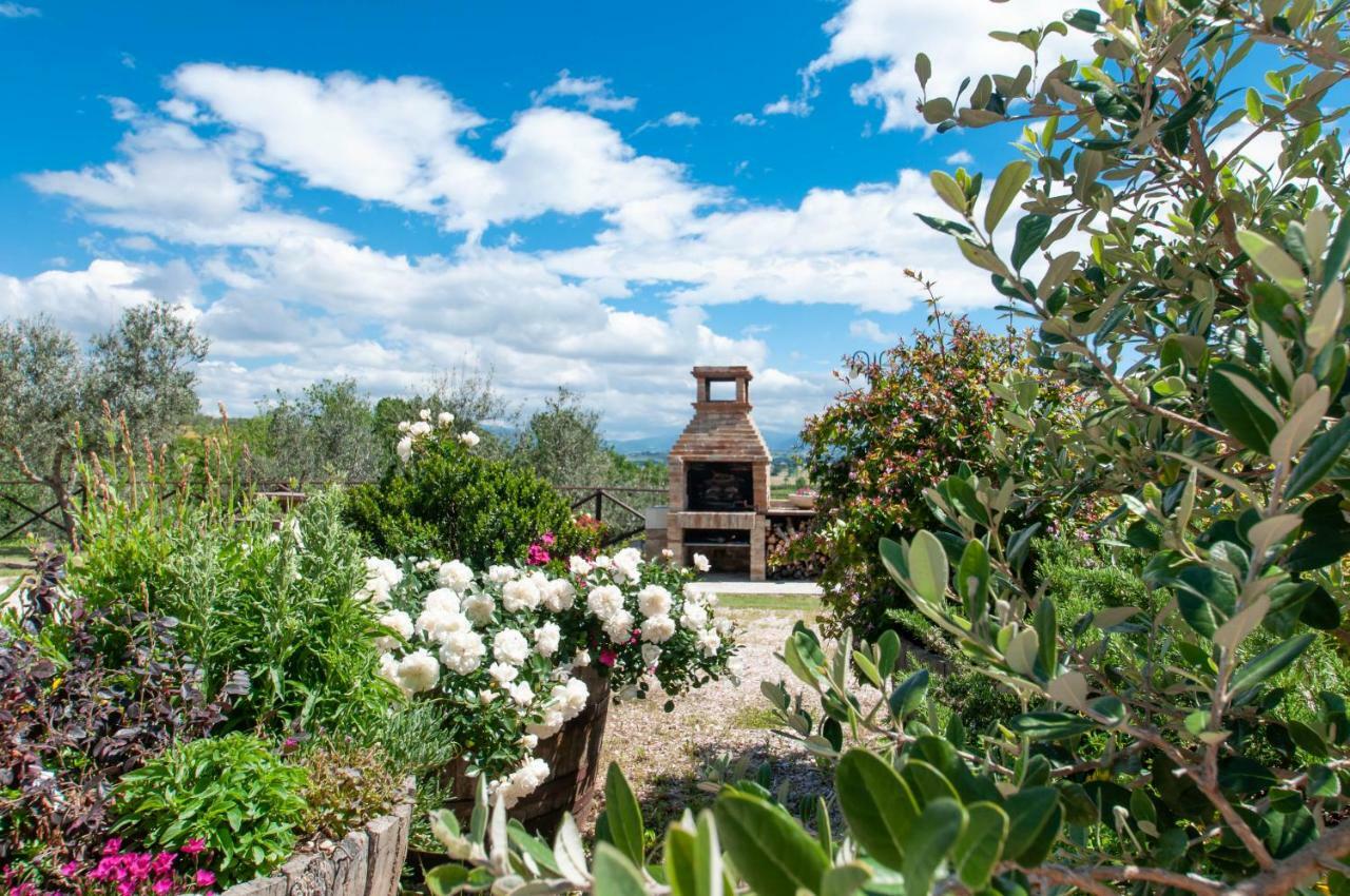 Agriturismo Molino Verde Montecchio  Esterno foto