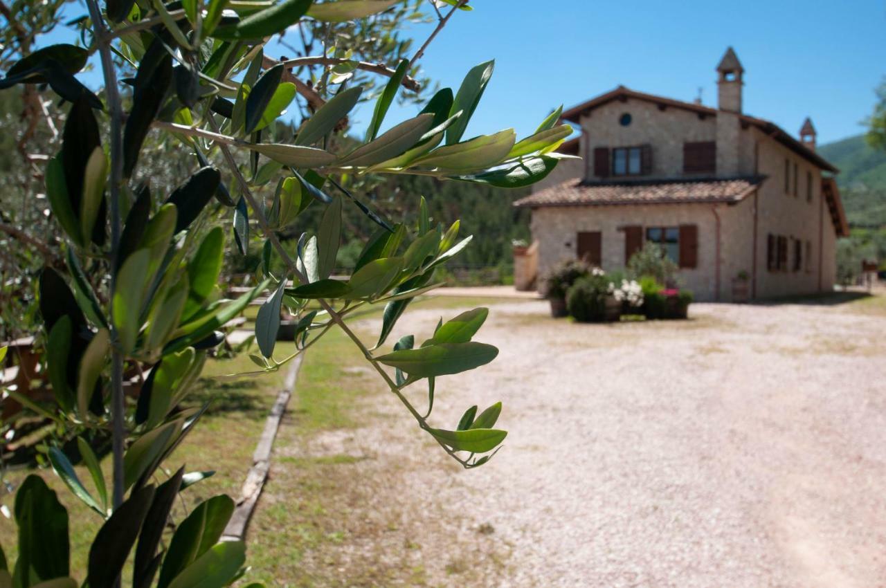 Agriturismo Molino Verde Montecchio  Esterno foto