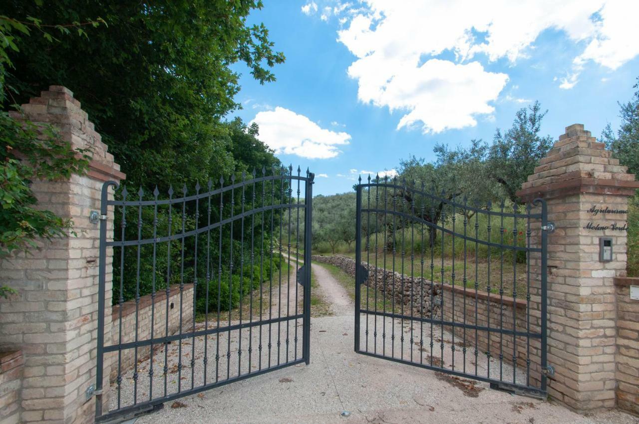 Agriturismo Molino Verde Montecchio  Esterno foto