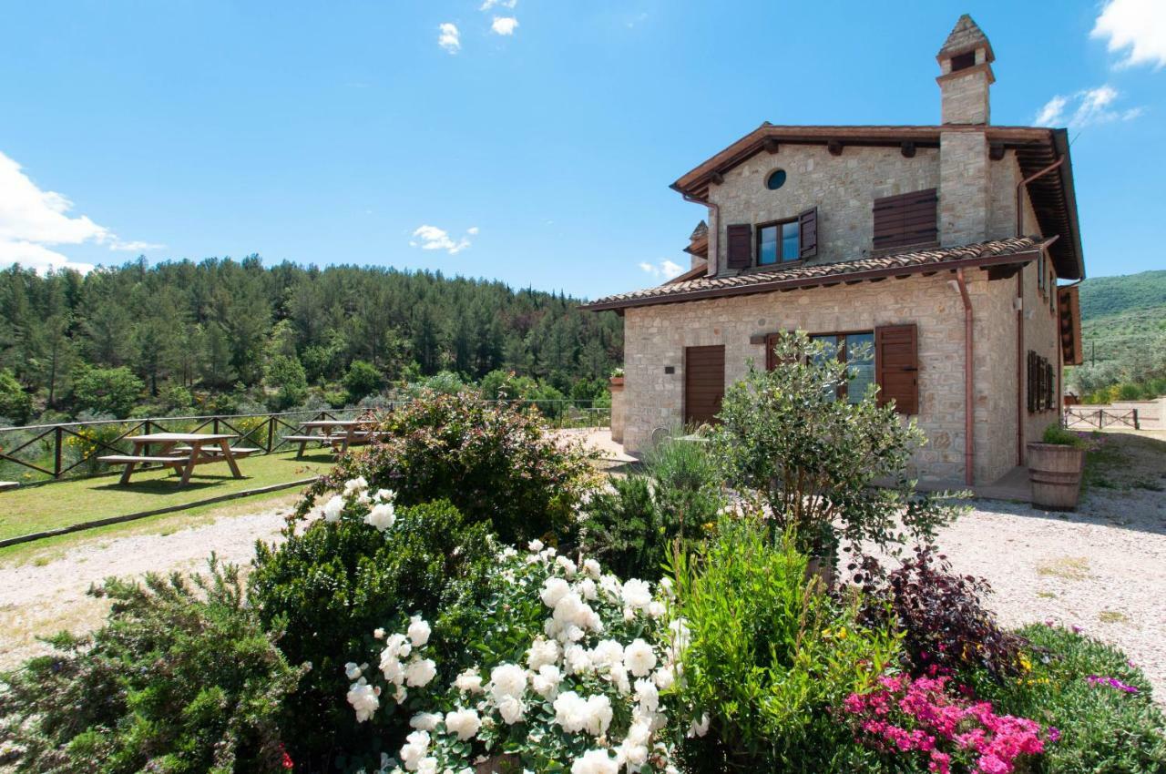 Agriturismo Molino Verde Montecchio  Esterno foto